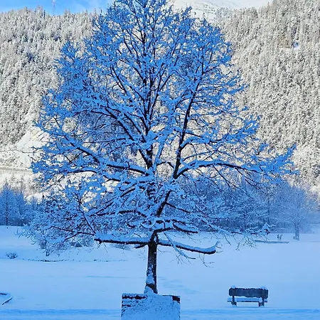 Montana *