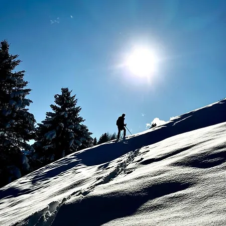Montana * Ried im Oberinntal