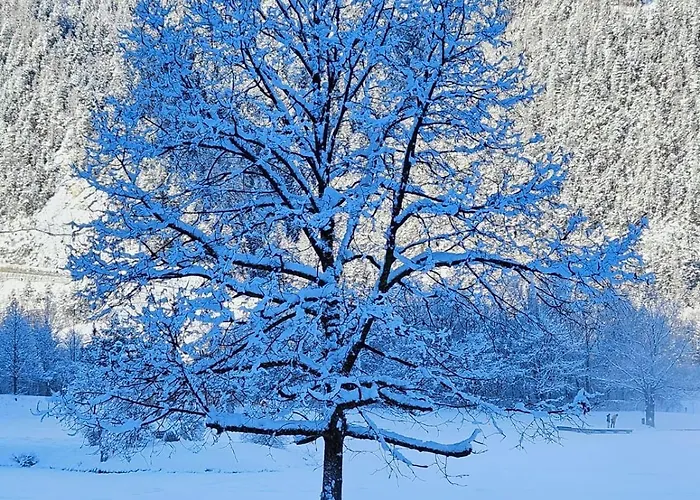 Montana *