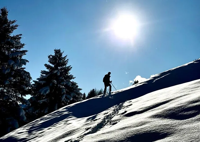 Montana * ريد إم أوبيرينتال